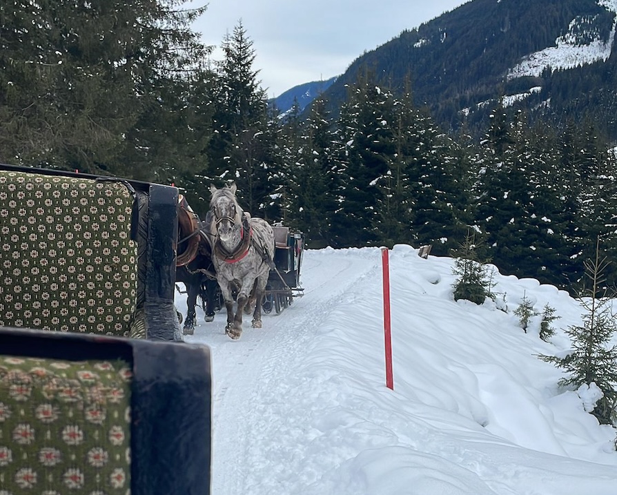 Met paard en arreslee door de bergen